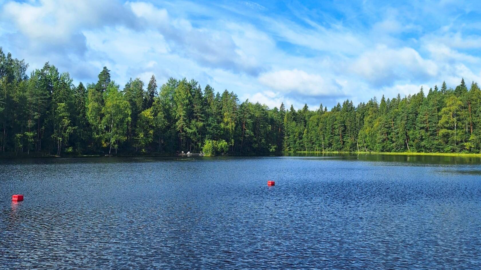 Järvi, metsäinen ja aurinkoinen vastaranta sekä puolipilvistä taivasta kesäisenä päivänä.